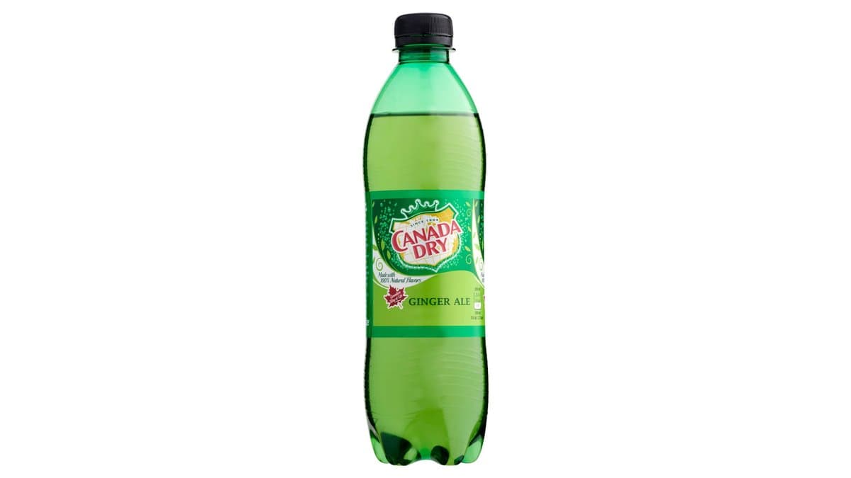 Canada Dry 0,5l