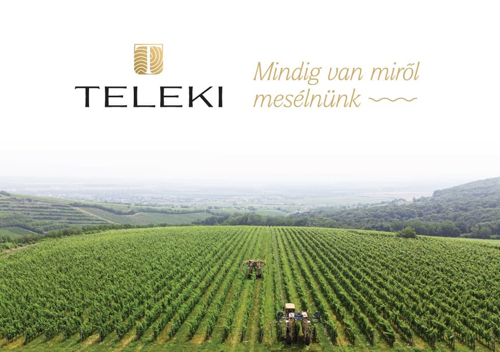 Teleki Borok
