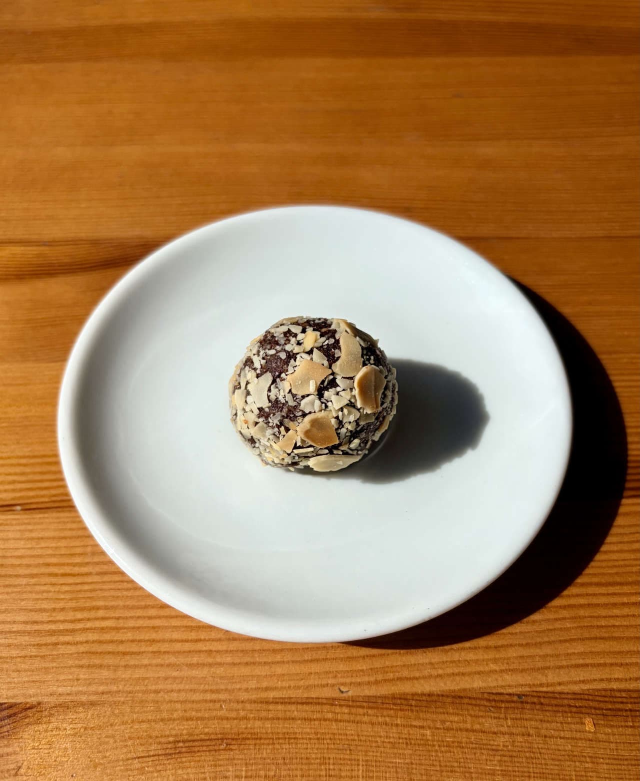 Paleo Cocoa and Dates Bites