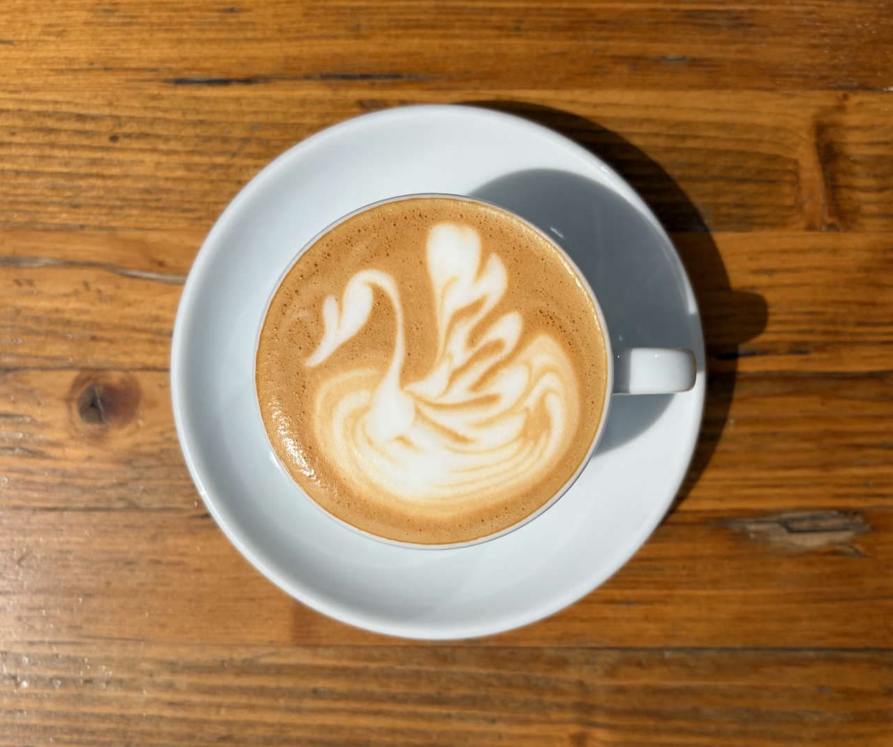 CAPPUCCINO