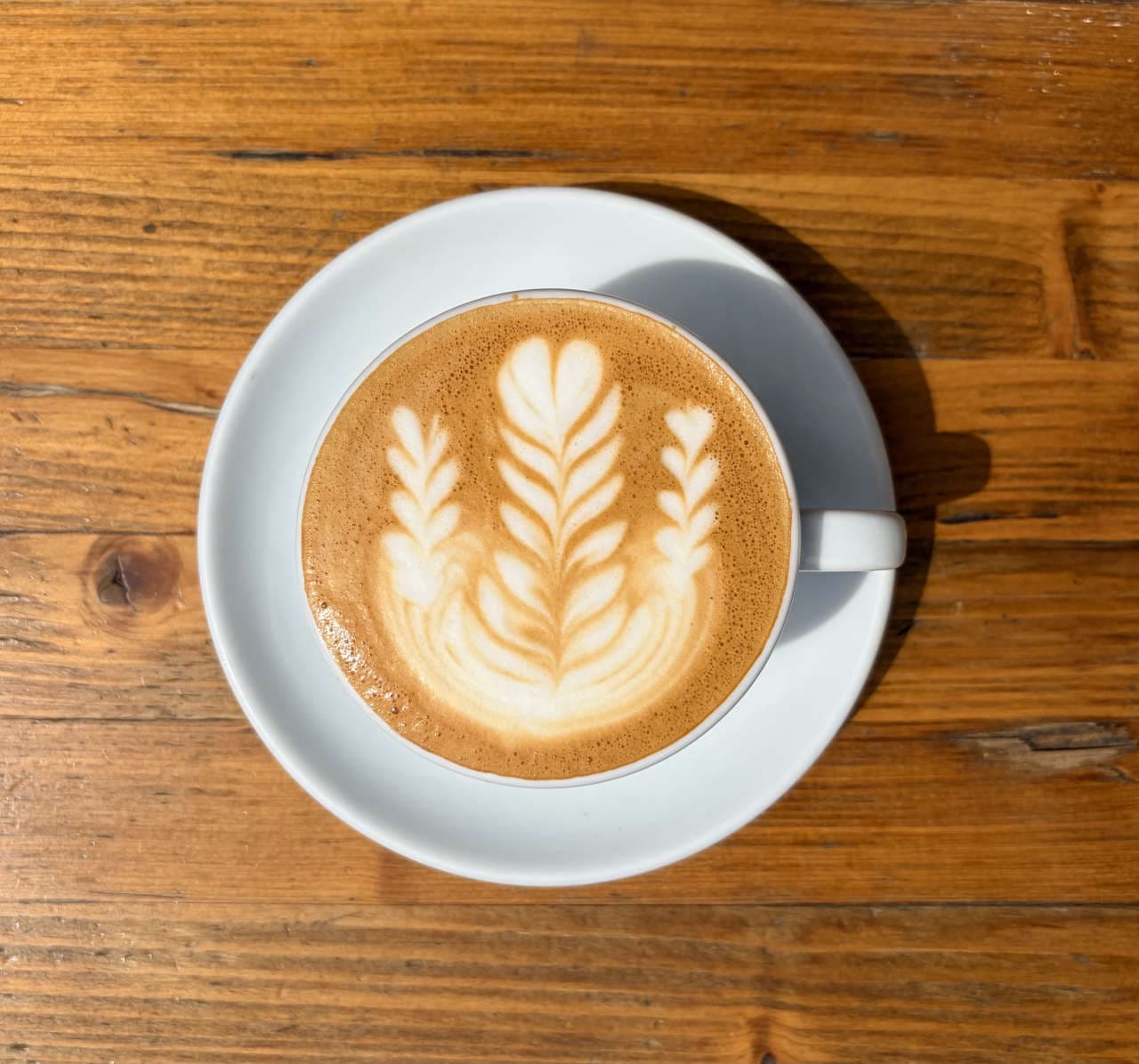 FLAT WHITE