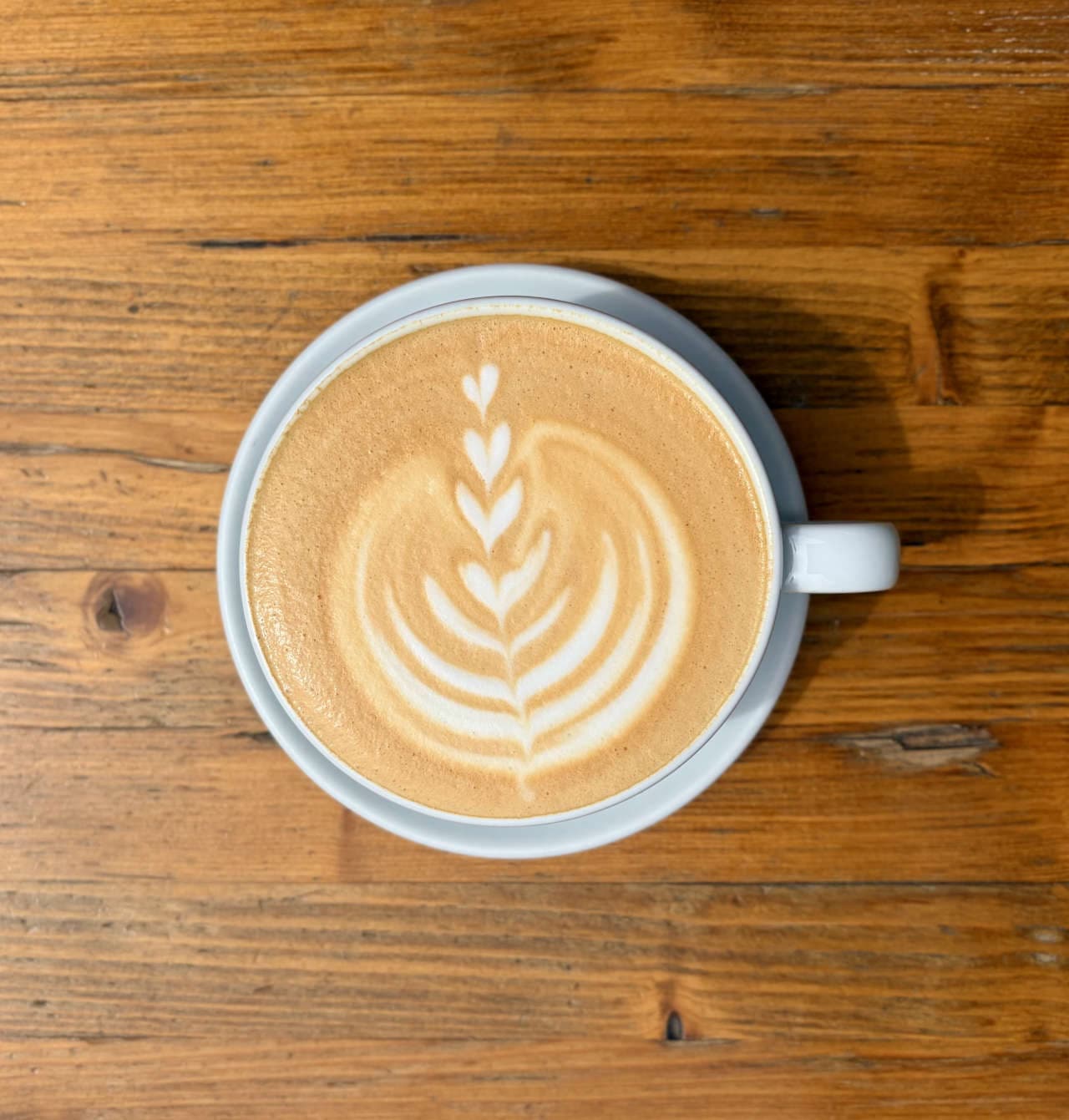 LARGE LATTE
