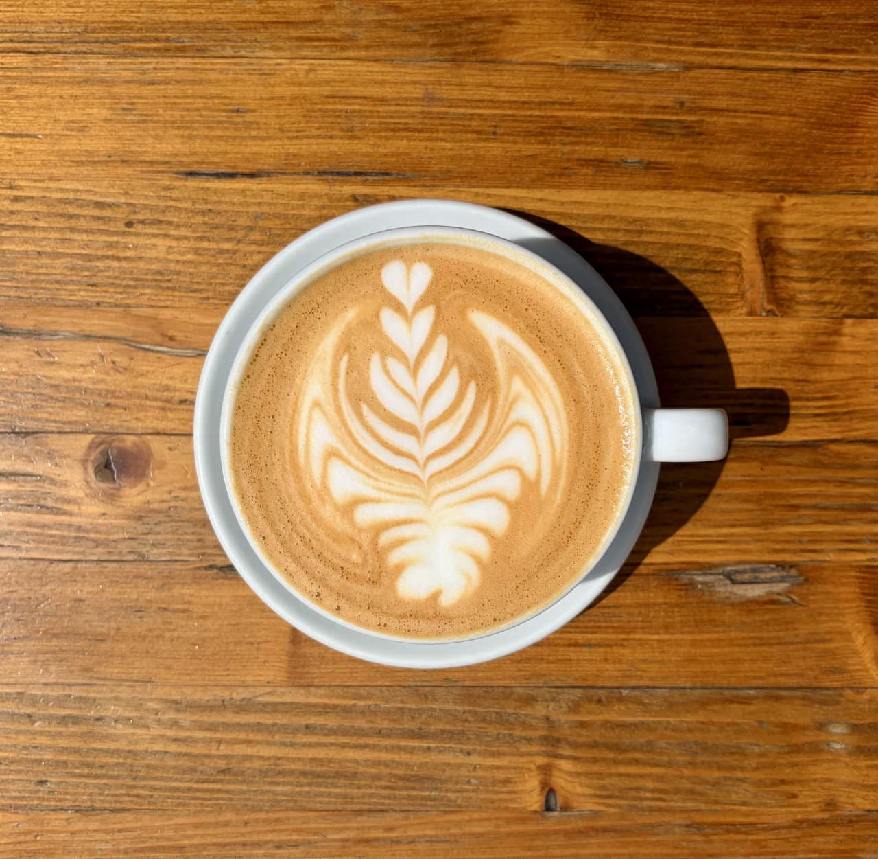 DOUBLE LARGE LATTE