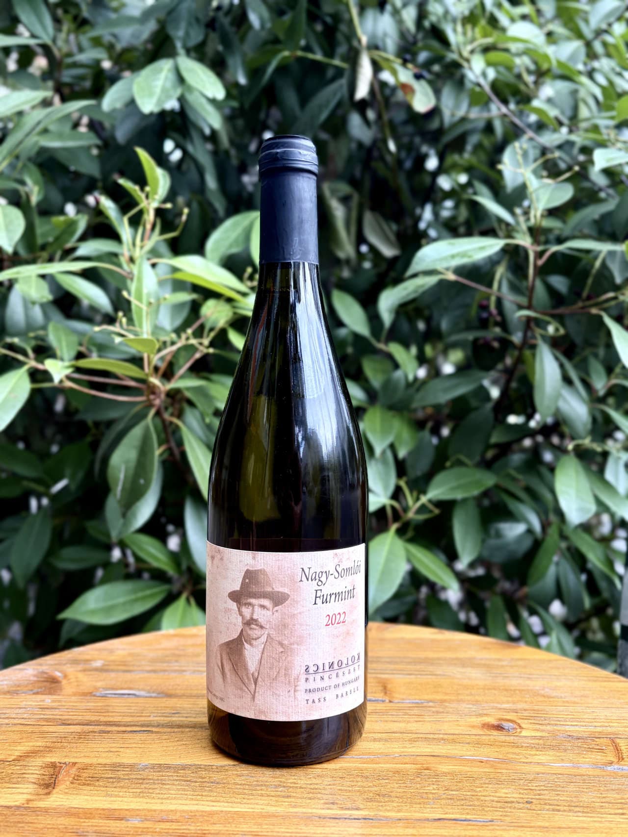 Kolonics: Furmint