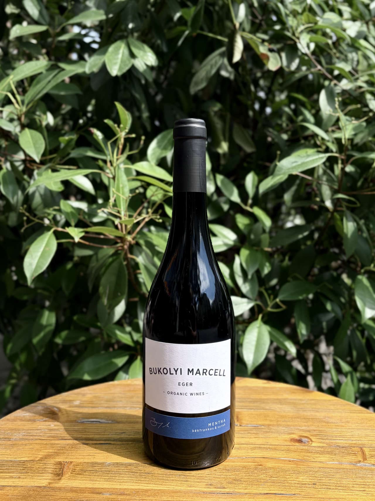 Bukolyi Marcell - Mentha