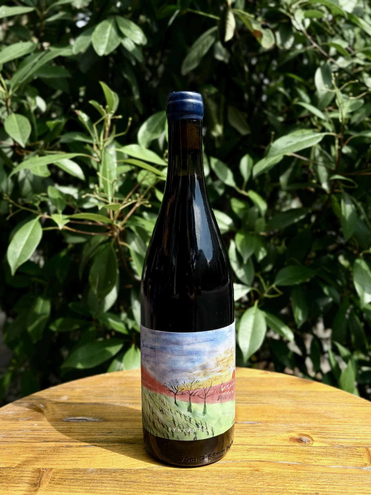 Turay - Cabernet Sauvignon "Synergy" NATURAL